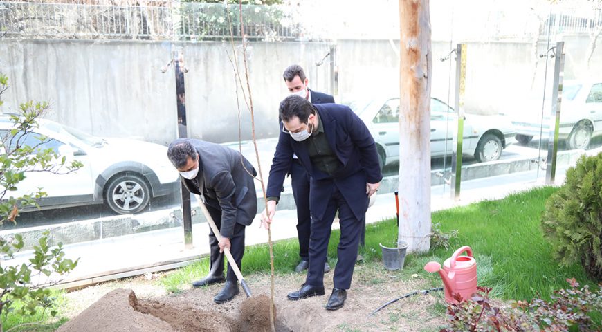 کاشت نهال توسط مدیرعامل شرکت سرمایه گذاری آتیه صبا به مناسبت روز درختکاری