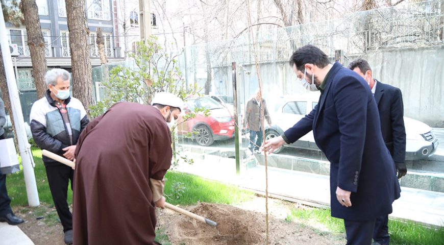کاشت نهال توسط مدیرعامل شرکت سرمایه گذاری آتیه صبا به مناسبت روز درختکاری